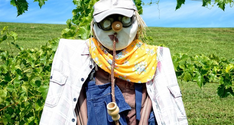 Scare crow