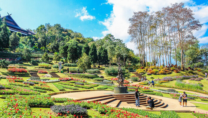 garden
