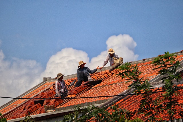 shingles